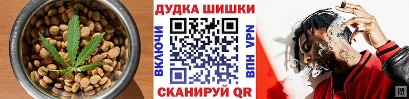 Canna-Cookies марихуана  Купить закладки  Онега 