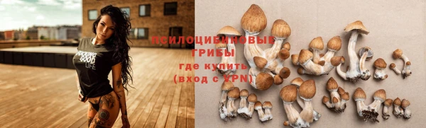 бошки Кукмор