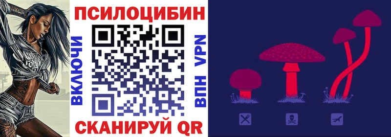 Псилоцибиновые грибы прущие грибы  Купить закладки  Онега 