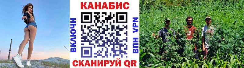 Купить где  Онега  Бошки марихуана конопля 